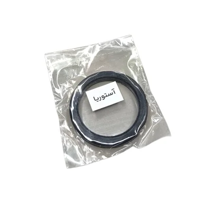 واشر هدگروپ 58 آستوریا